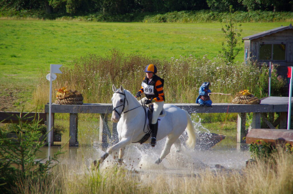 Level 4 Monthly Horse Hotspots