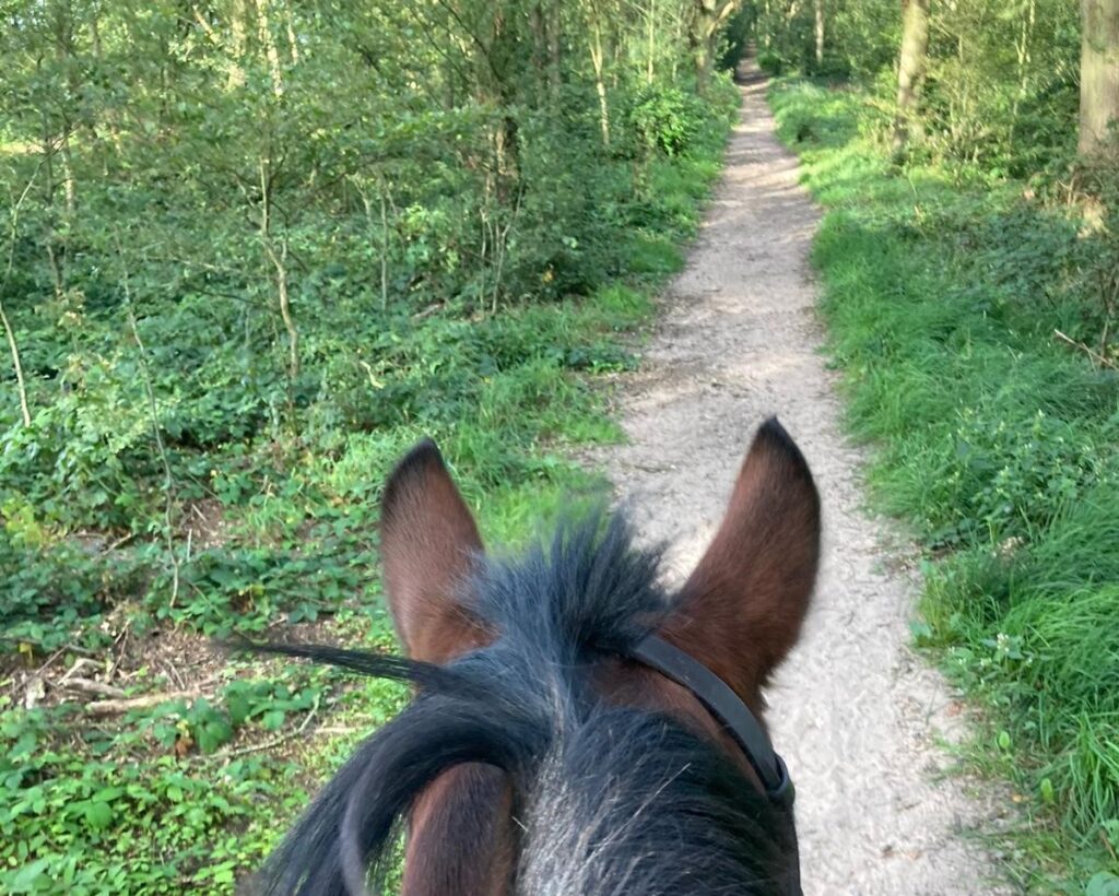 Level 2 Monthly Horse Hotspots